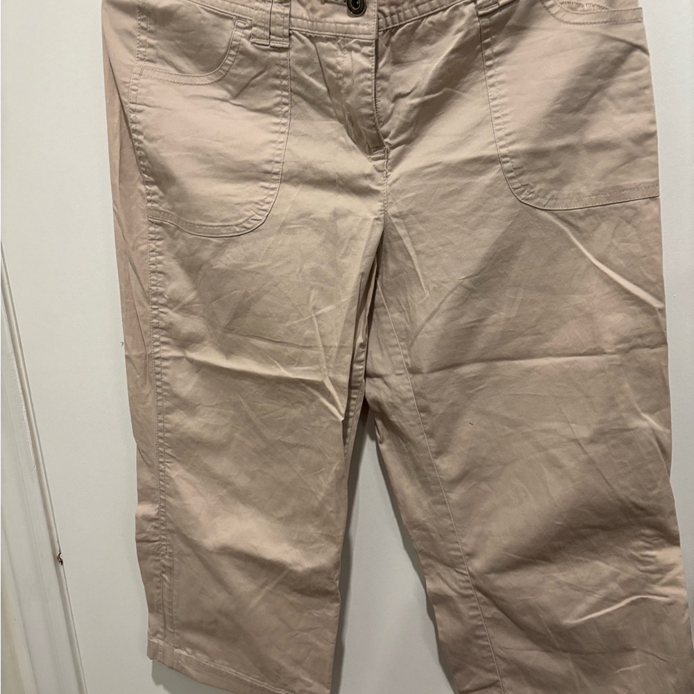 Style & Co Tan Bermuda Shorts Classic Fit